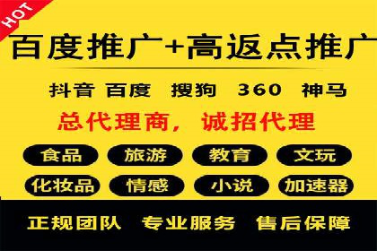 竞价排名广告投放案例